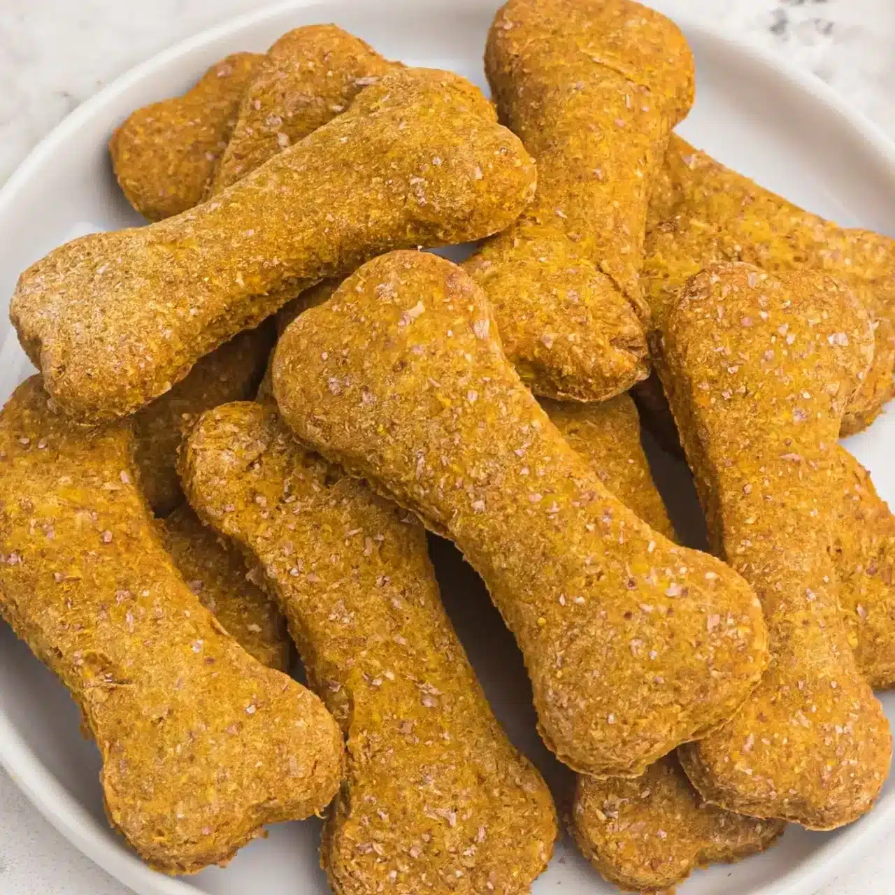 National Dog Biscuit Day National Dog Biscuit Day