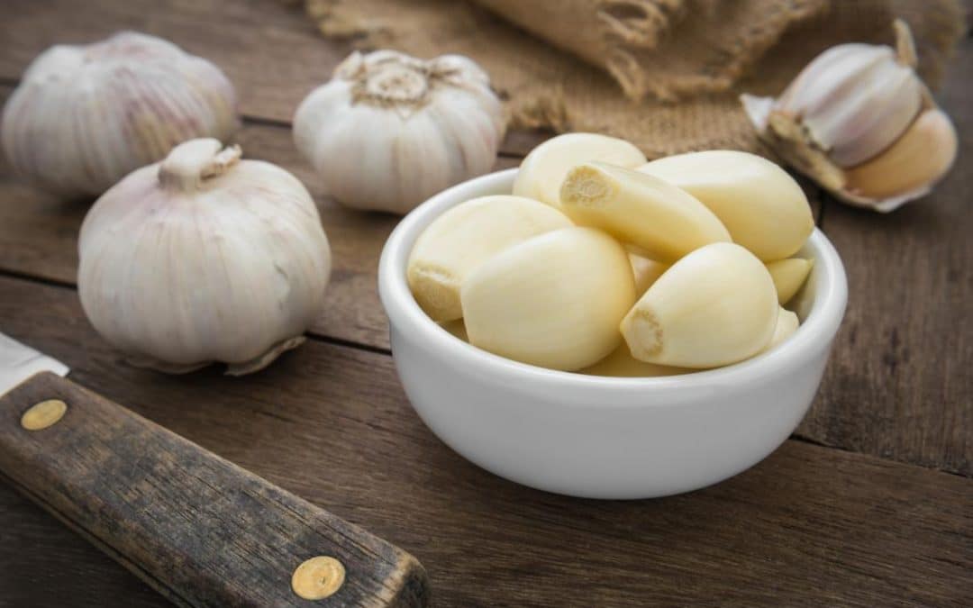 National Garlic Day