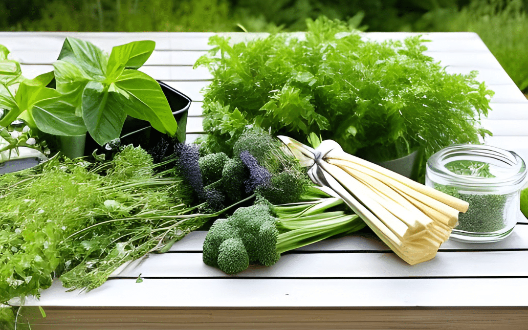 Herb Day