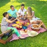 National Picnic Day