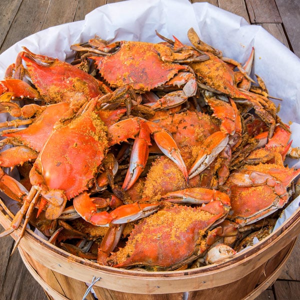 Blue Crabs