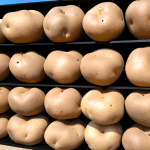 Potatoes