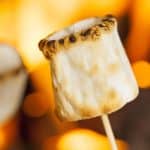 toasted marshmallow