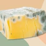 Moldy Cheese
